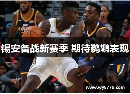 锡安备战新赛季 期待鹈鹕表现
